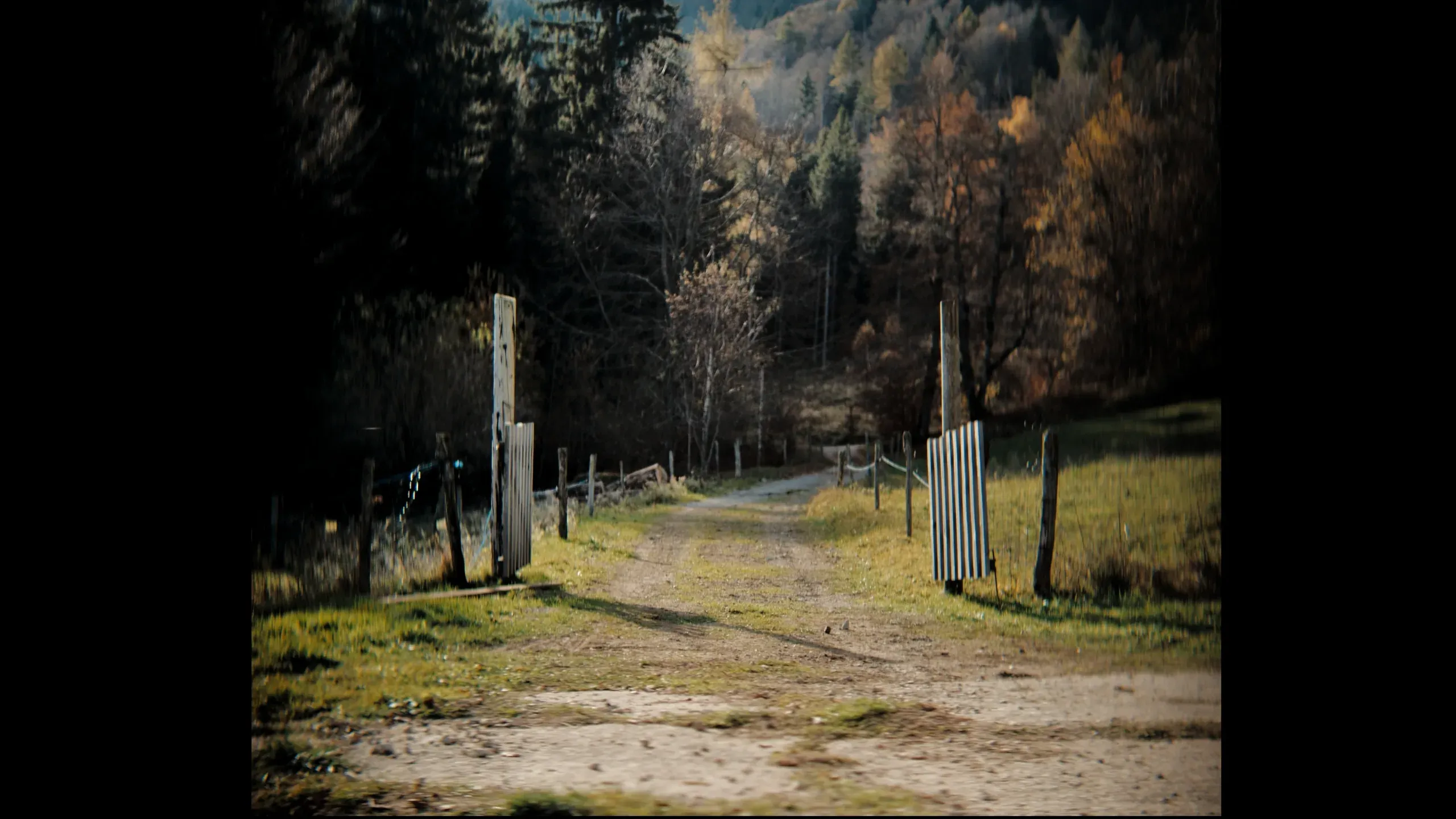 Fotogramma da Vladi, 3 di 14