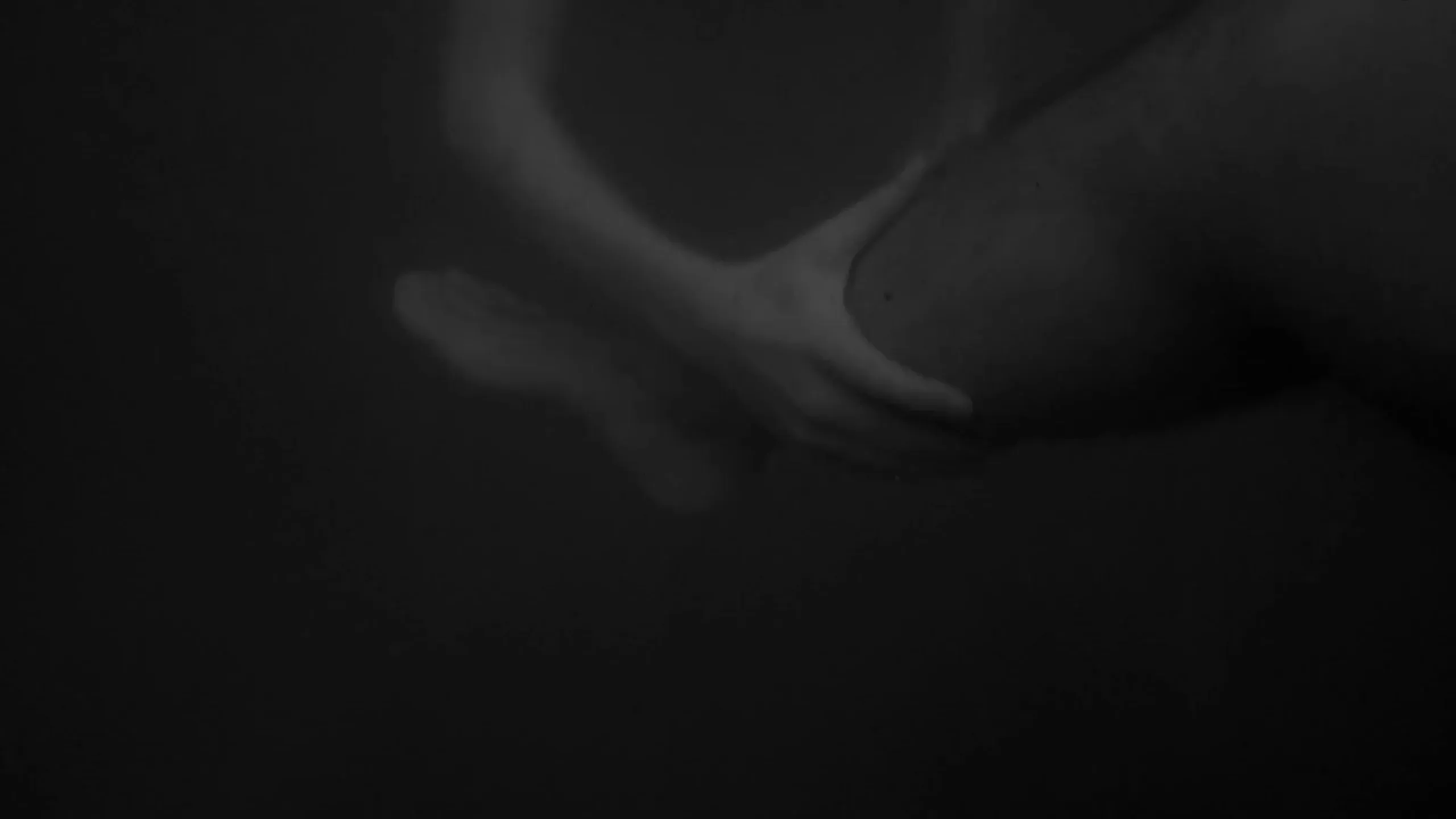 Fotogramma da Beyond the Sea, 3 di 14