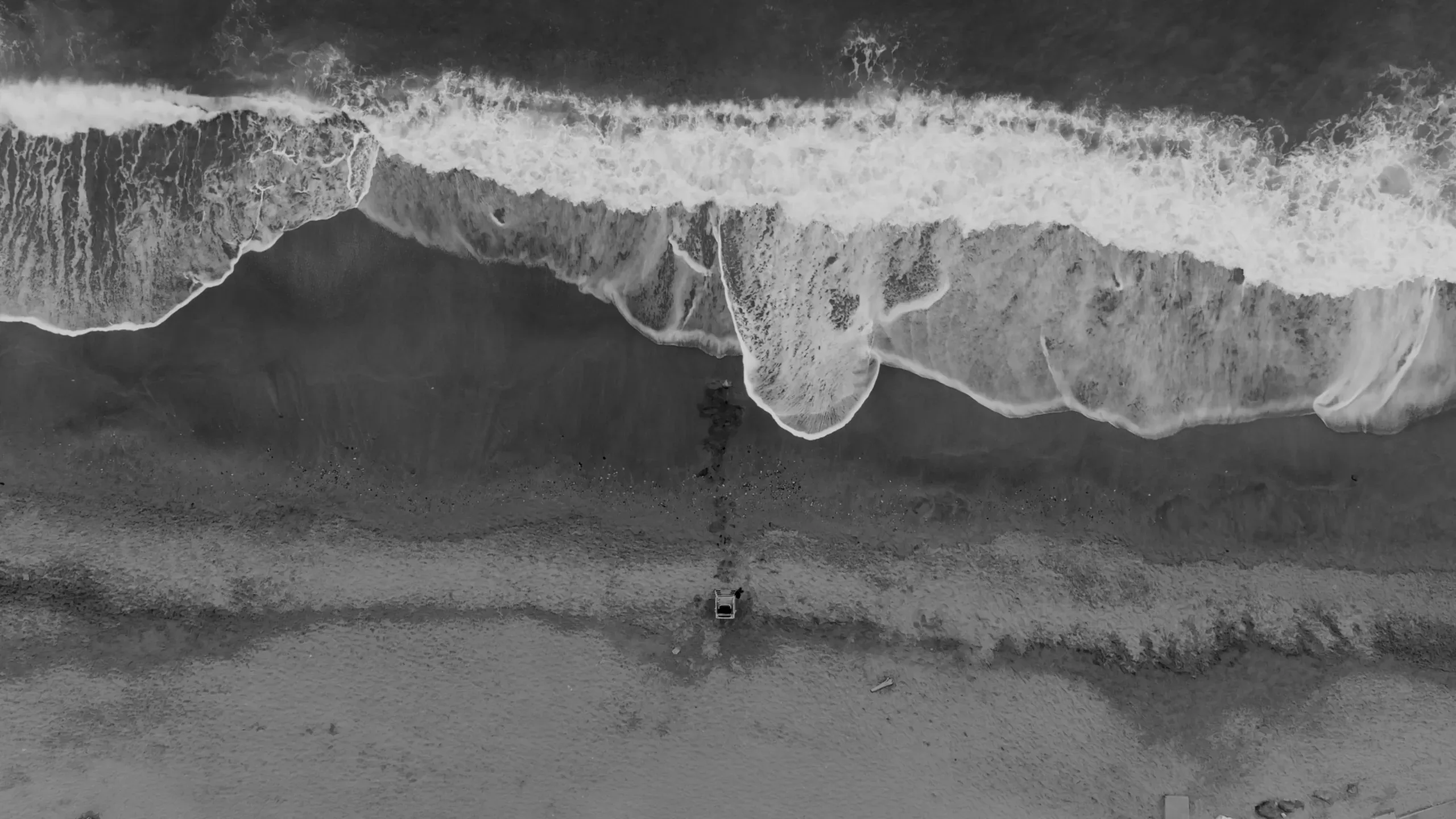 Fotogramma da Beyond the Sea, 4 di 14