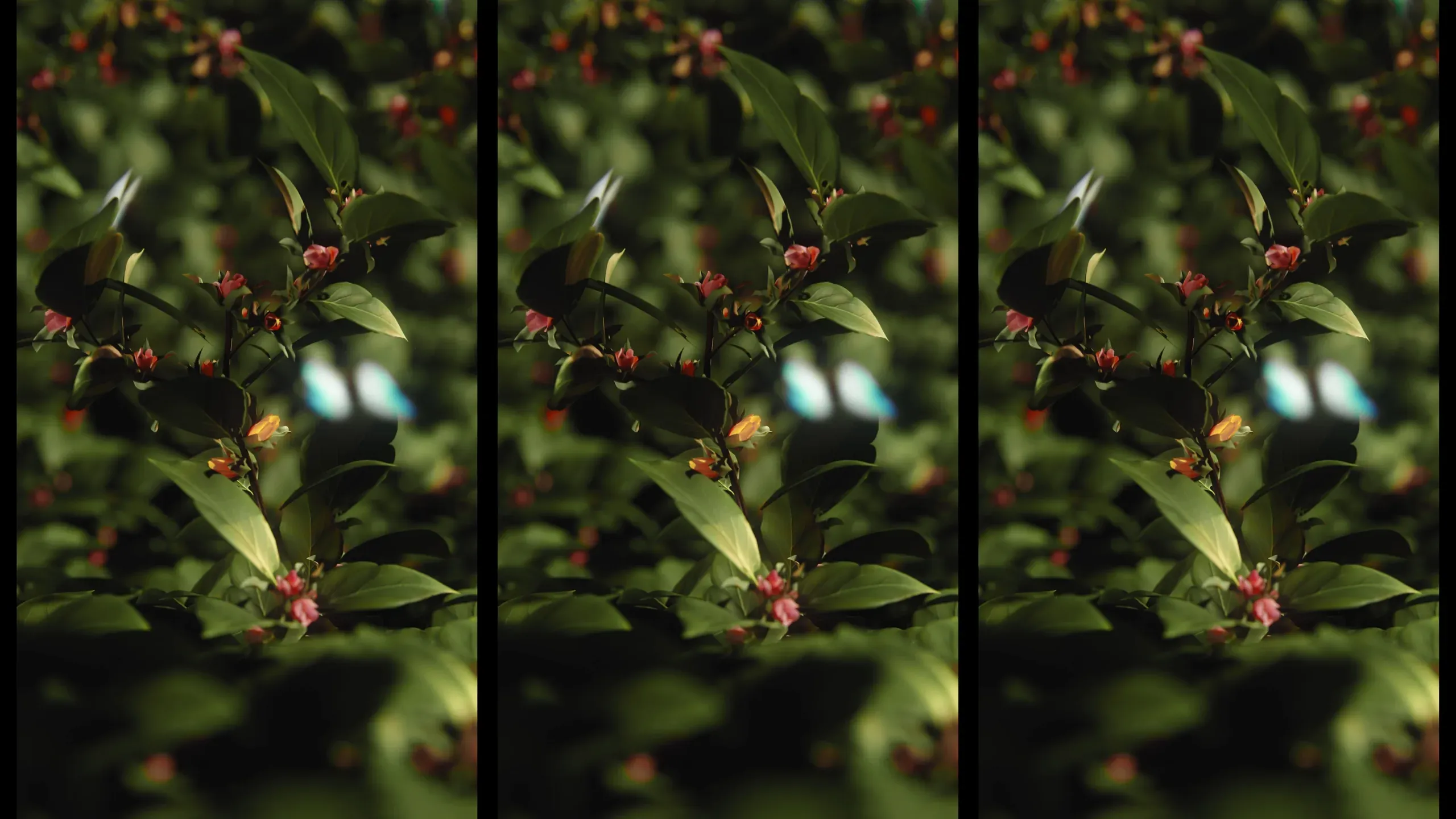 Fotogramma da Ricerca tecnica, 4 di 9