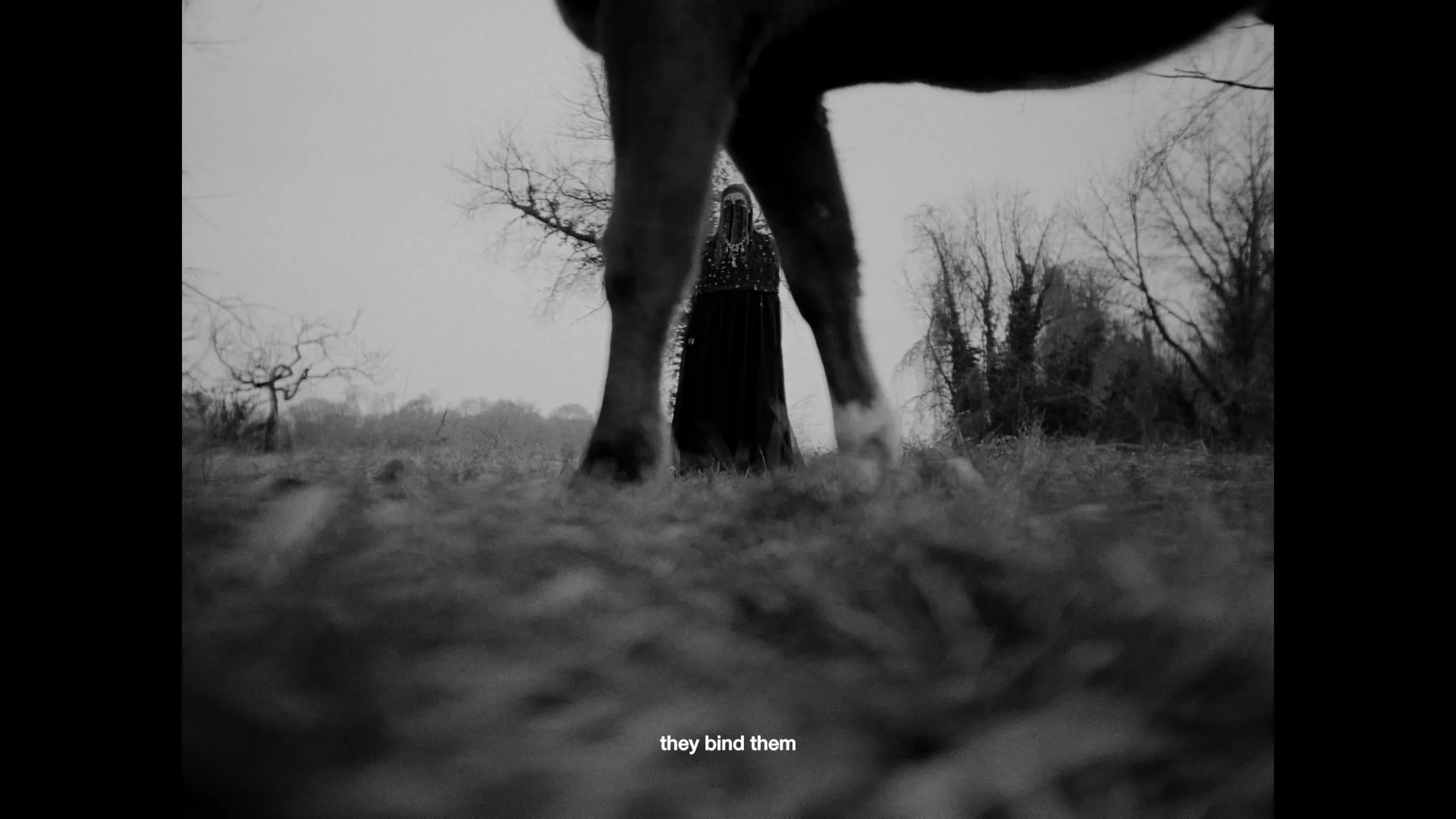 Fotogramma da The Wild Bond, 5 di 11