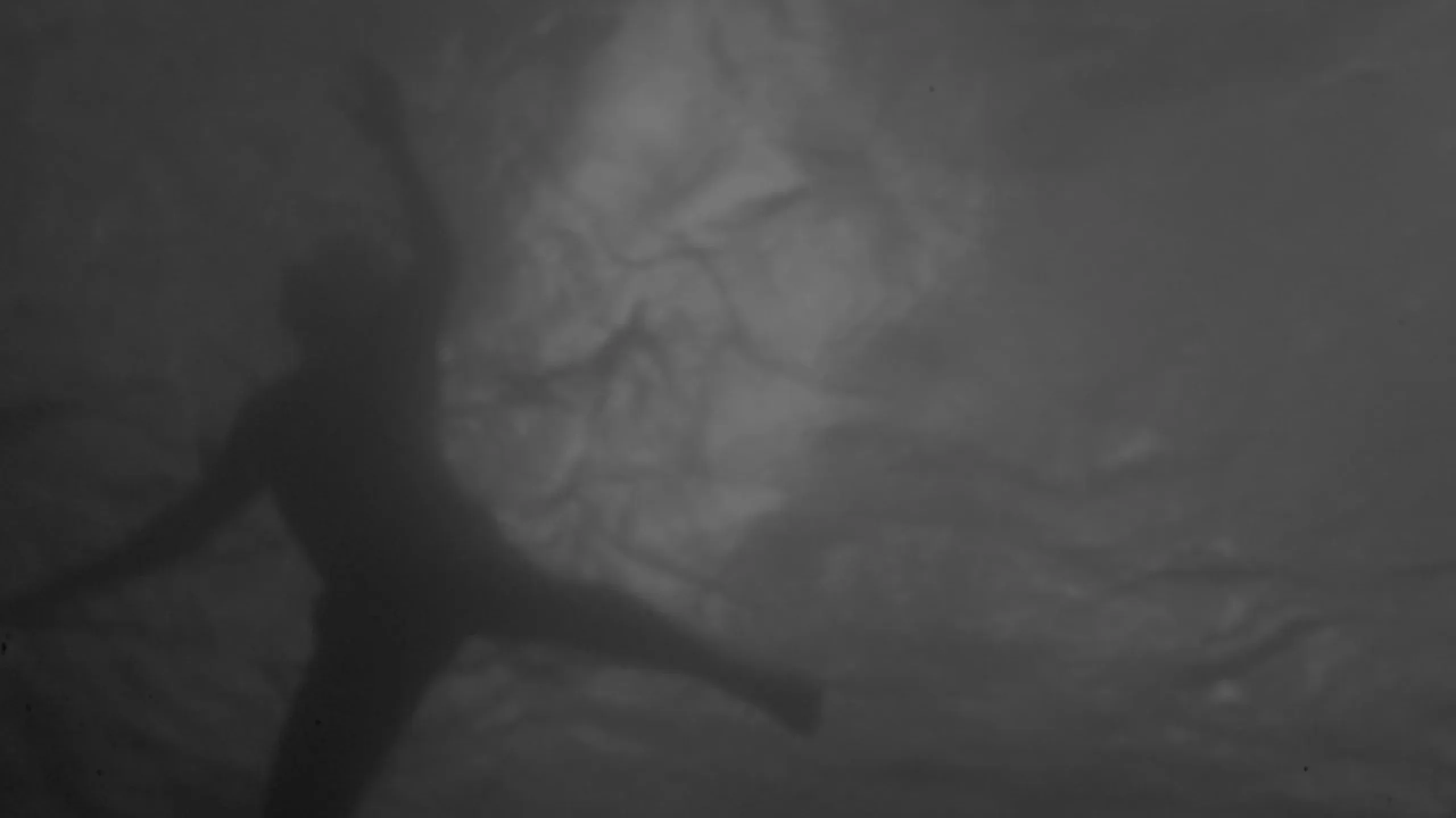 Fotogramma da Beyond the Sea, 6 di 14