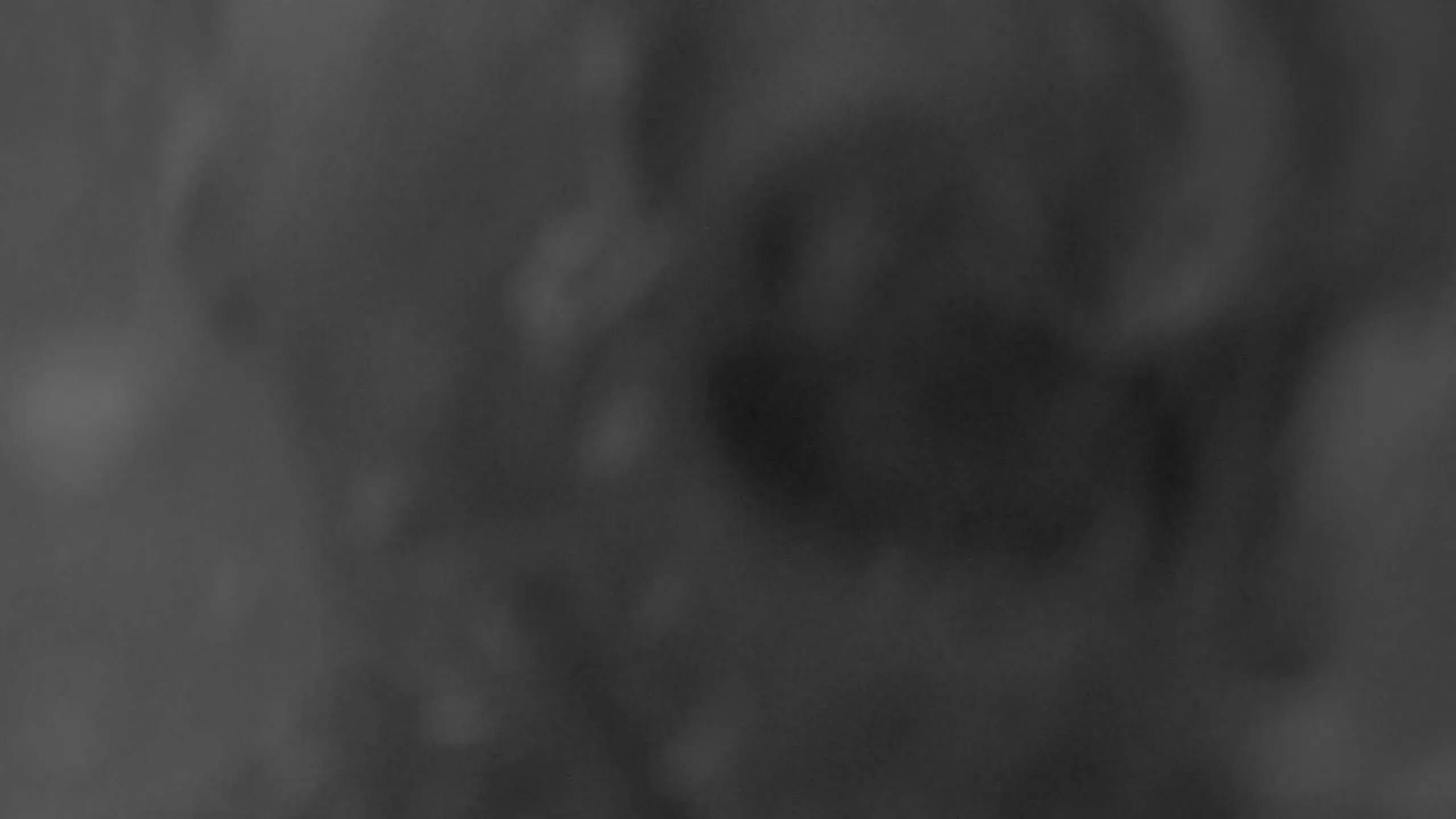 Fotogramma da Beyond the Sea, 10 di 14