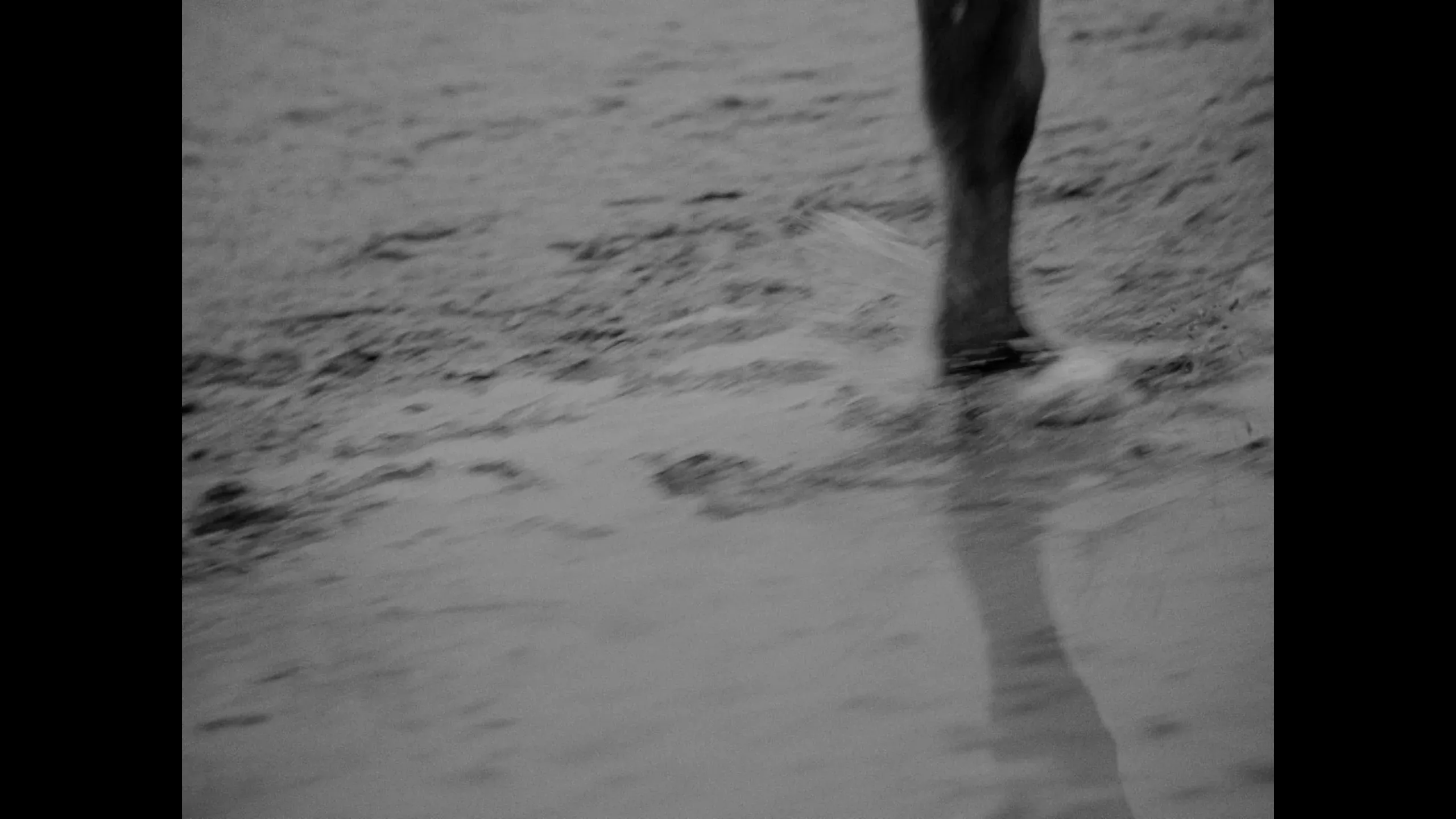 Fotogramma da The Wild Bond, 11 di 11